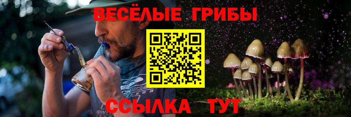 Псилоцибиновые грибы мухоморы Можайск